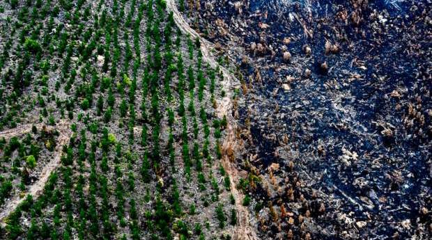SSSI to hold National Bushfire Recovery Map-a-thon