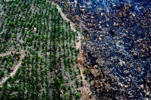 SSSI to hold National Bushfire Recovery Map-a-thon SSSI to hold National Bushfire Recovery Map-a-thon