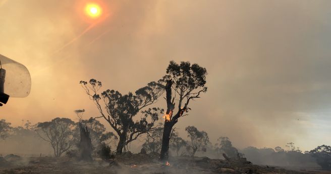 $88m bushfire and disaster research centre announced