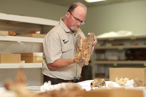 A new light on extinction