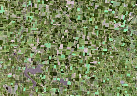 CSIRO maps grain belt paddock boundaries from space