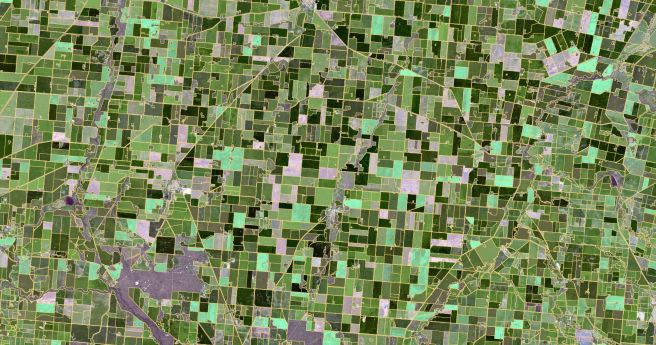 CSIRO maps grain belt paddock boundaries from space