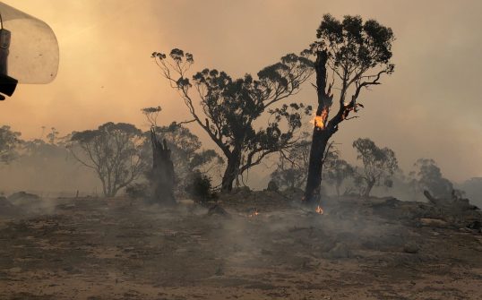 $70 million ‘bushfire moonshot’ aims to fireproof Australia
