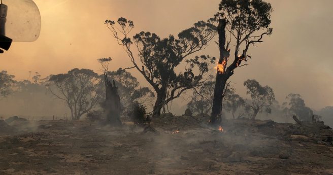 $70 million ‘bushfire moonshot’ aims to fireproof Australia
