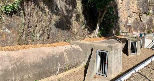 What lies beneath: time to rescue tunnels from conspiracists