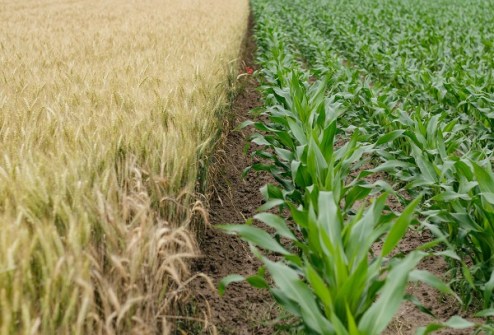 University of Sydney opens $12m digital farming centre