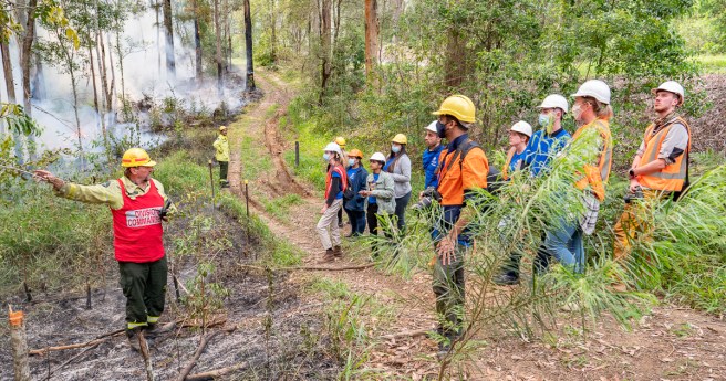 Newcastle architecture students lead koala precinct project