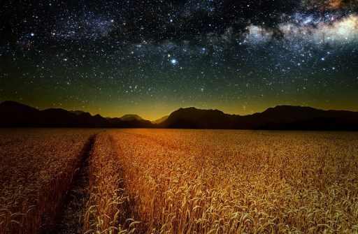 Agribusinesses look to space for growth