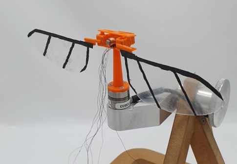 Dragonflies could be the future of drones Dragonflies could be the future of drones