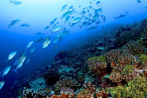 S-5B hydrographic surveyors course on offer S-5B hydrographic surveyors course on offer