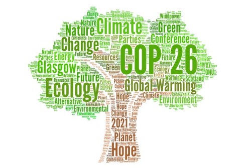 SSSI to present on Thursday at COP26 in Glasgow