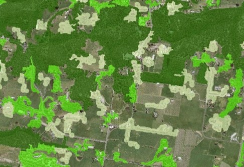 Machine learning boosts Victorian vegetation maps Machine learning boosts Victorian vegetation maps