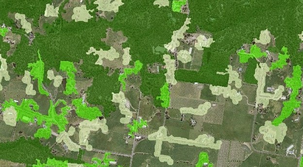 Machine learning boosts Victorian vegetation maps
