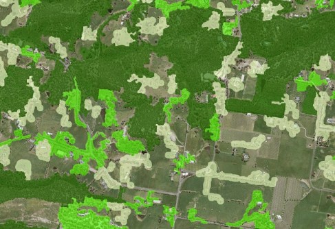 Reshaping Victoria’s vegetation datasets Reshaping Victoria’s vegetation datasets