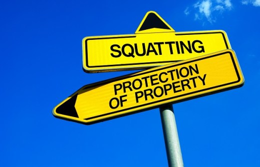 Adverse possession and the role of surveyors