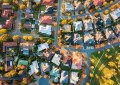 Aerial view of a typical suburb in Australia