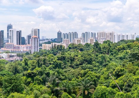 Geospatial tech for Singapore forest carbon count