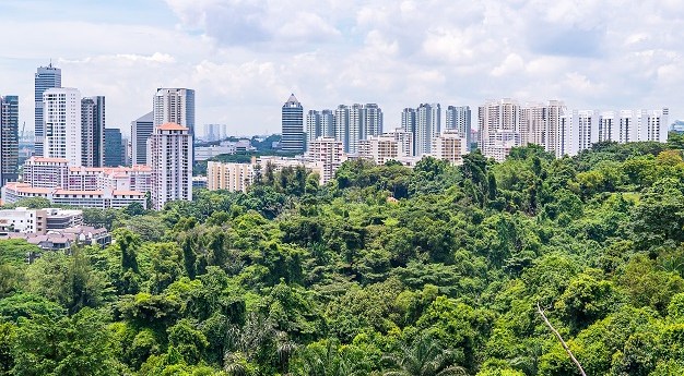 Geospatial tech for Singapore forest carbon count