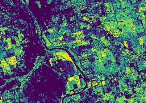 Metaspectral joins Adelaide-based space incubator Metaspectral joins Adelaide-based space incubator