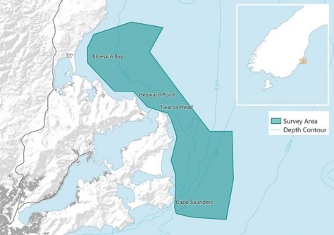 Otago coast seafloor to be surveyed