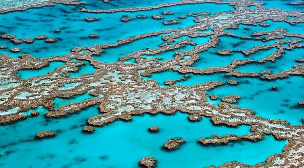 GIS, AI to the rescue for the Great Barrier Reef