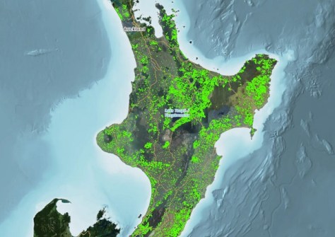 A screenshot of the Forest Insights website, showing a map of radiata pine plantations on New Zealand’s North Island detected using airborne laser scanning