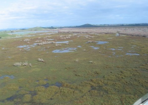 An aerial photo of marshy ground that is subject to groundwater flooding