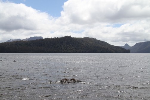 A daytime view of the waters of Lake St Claire, with forested hills in the background shoreline