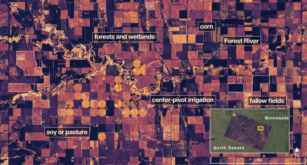 A NISAR satellite image of farmland