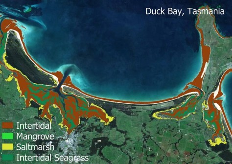 DEA Coastal Ecosystems product suite released