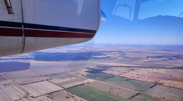 Airborne hyperspectral for spotting koala habitat