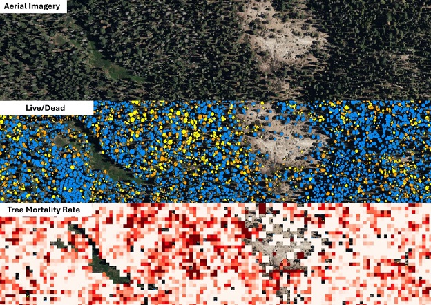 California’s new statewide LiDAR vegetation data