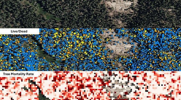 California’s new statewide LiDAR vegetation data