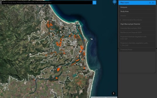 A screenshot of the tool that can be used to manage saltmarsh and mangroves