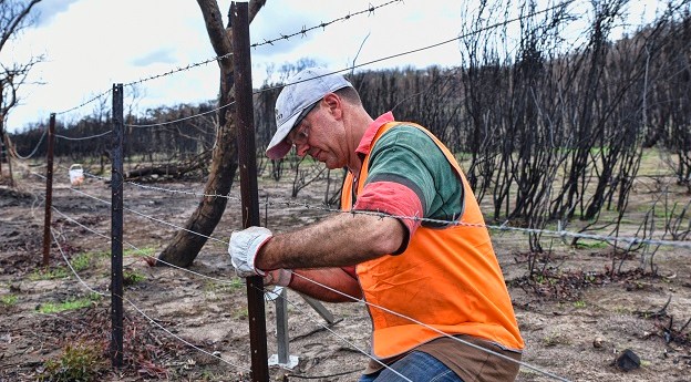 SGV helps bushfire-affected property owners