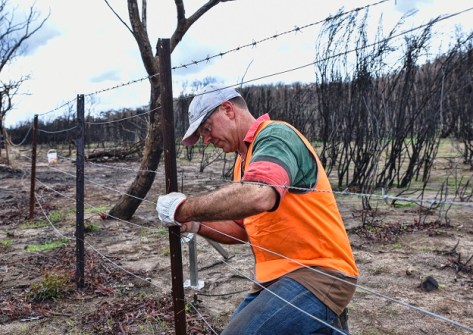 SGV helps bushfire-affected property owners
