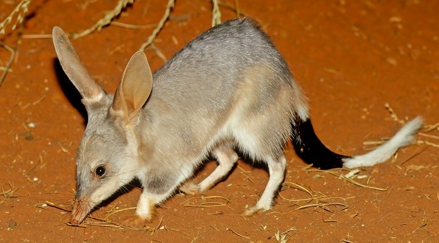 Maps show progress on national 30 x 30 plan