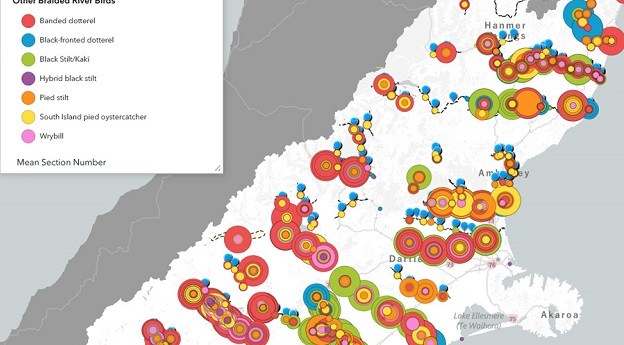 GIS mapping platform protecting NZ birds