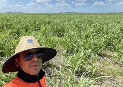 Spatial Source - ML and satellite data fight sugarcane disease