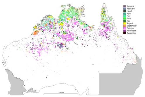 A NAFI map of Australia showing the locations of fires across northern Australia during 2025, indicated by various coloured areas