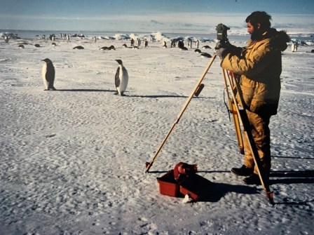 A LINZ surveyor in cold-weather gear, standing with penguins on the ice in Antarctica