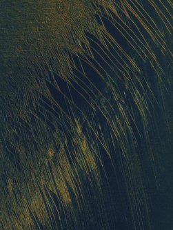 A Biomass image of an Antarctic ice sheet, showing curved lines that are crevasses