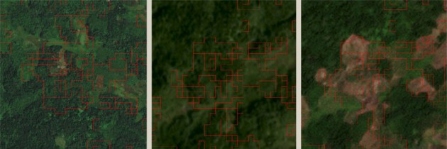 Three satellite images of forest, with markers showing false detections of deforestation