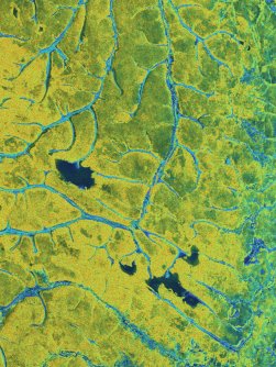 A false-colour satellite image of forest patches separated by rivers and streams