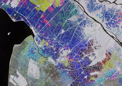 A false-colour Sentinel-1D satellite image showing hundreds of individual rice fields in Vietnam