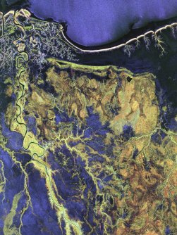 A biomass satellite image of vegetation and rivers in the Gulf of Carpentaria