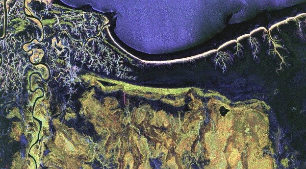 Biomass’ first year of mapping Earth’s vegetation