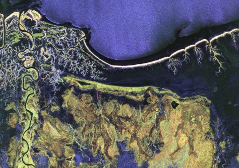 Biomass’ first year of mapping Earth’s vegetation Biomass’ first year of mapping Earth’s vegetation