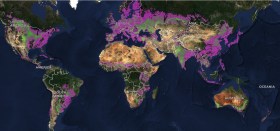 A satellite-derived image of the entire world in Mercator projection, overlaid with various colours that characterise agricultural fields