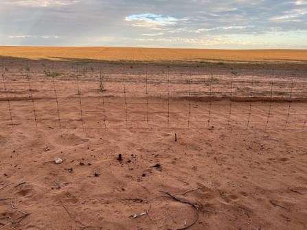 A sandy area crossed by a wire fence